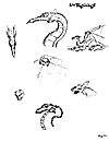 [1995 doodles #2] (1k)