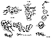 [miscellaneous doodles #1] (1k)